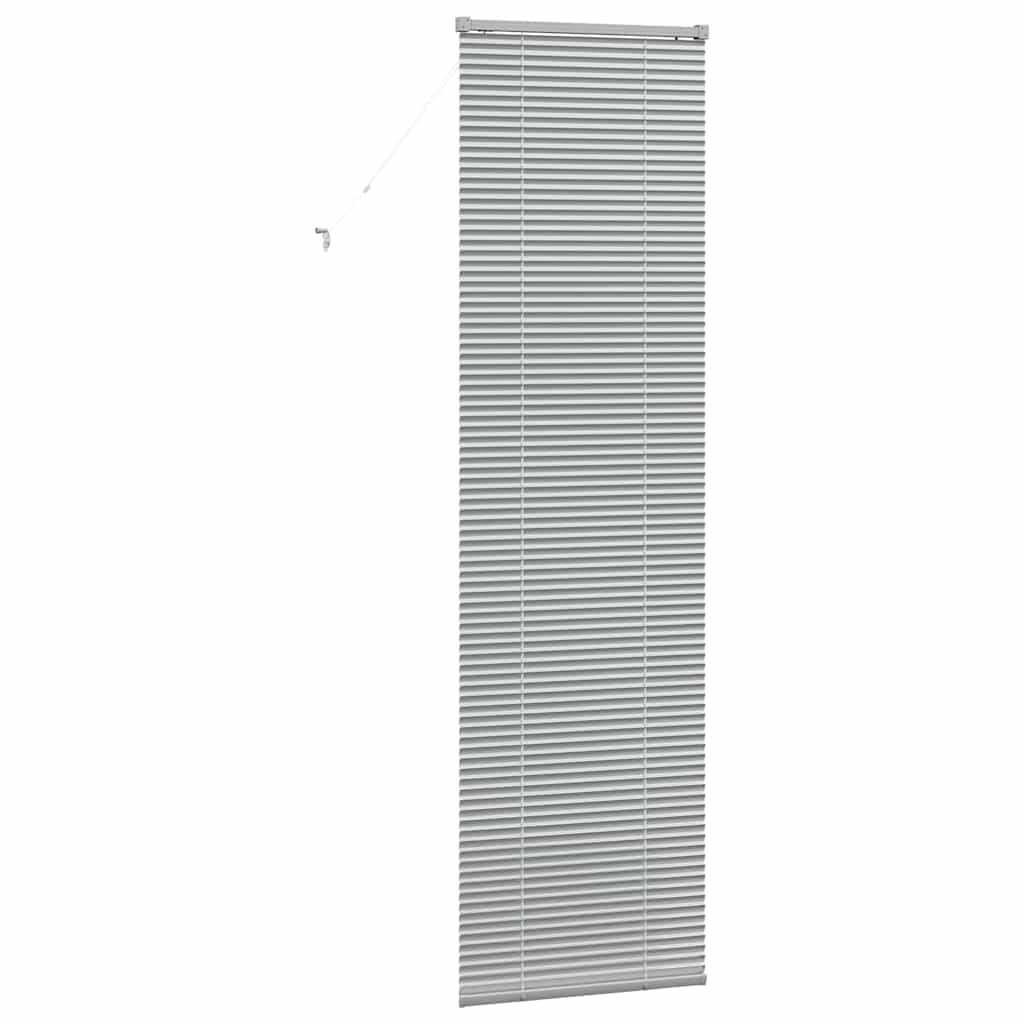 Venetiaanse jaloezieën Zilver 220 x 60 cm Aluminium
