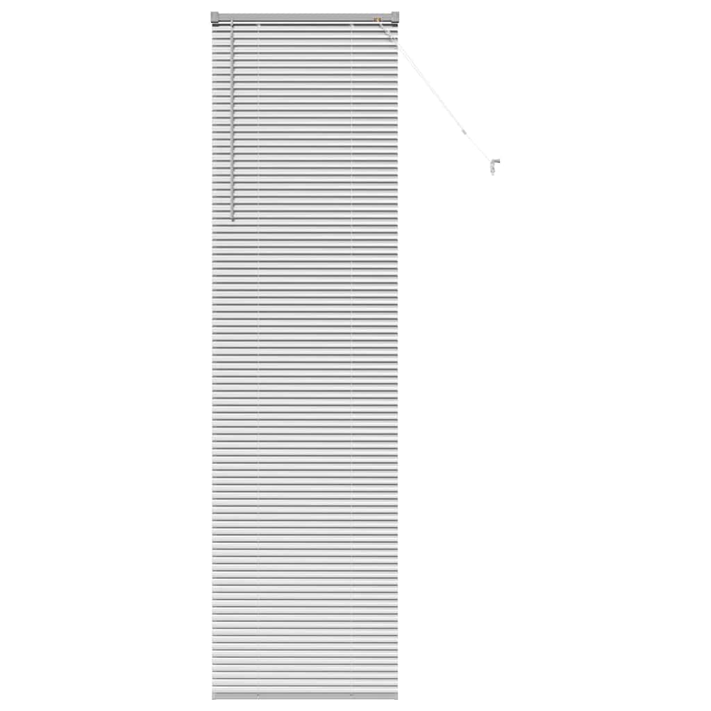 Venetiaanse jaloezieën Zilver 220 x 60 cm Aluminium