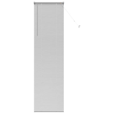 Venetiaanse jaloezieën Zilver 220 x 65 cm Aluminium
