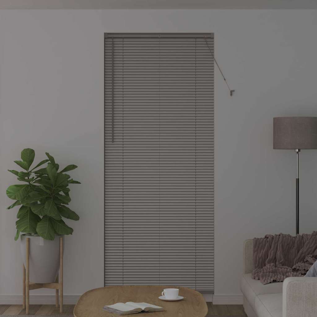 Venetiaanse jaloezieën Zilver 220 x 85 cm Aluminium