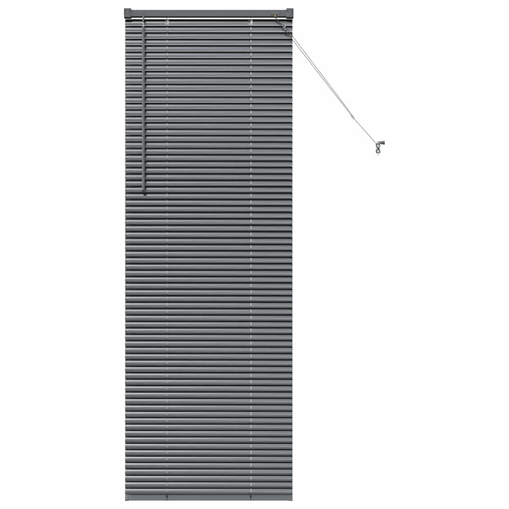 Venetiaanse jaloezieën Donkergrijs 175 x 60 cm Aluminium