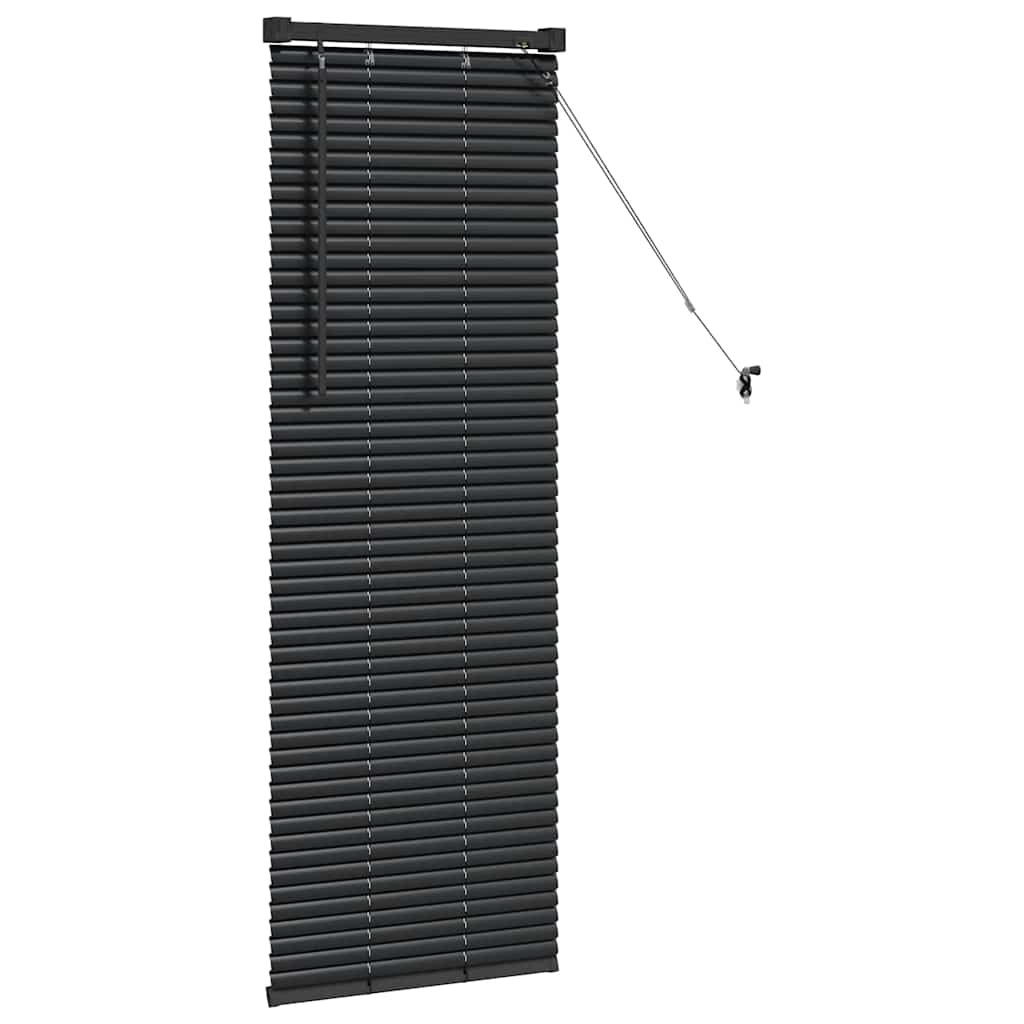 Venetiaanse jaloezieën Zwart 130 x 55 cm Aluminium