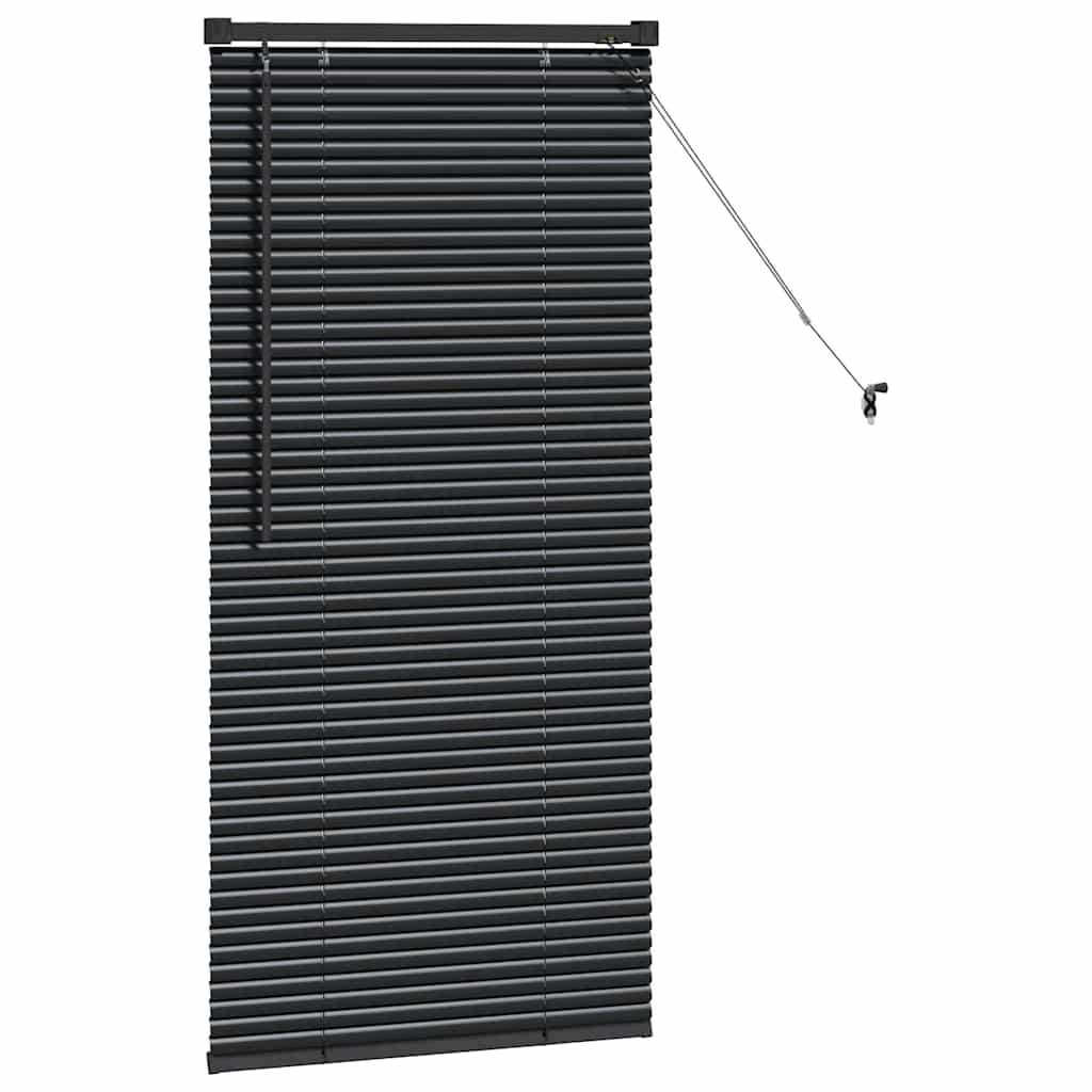 Venetiaanse jaloezieën Zwart 60 x 2,5 x 130 cm Aluminium