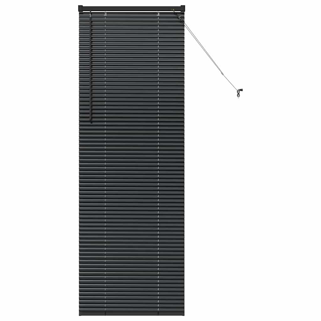 Venetiaanse jaloezieën Zwart 175 x 55 cm Aluminium