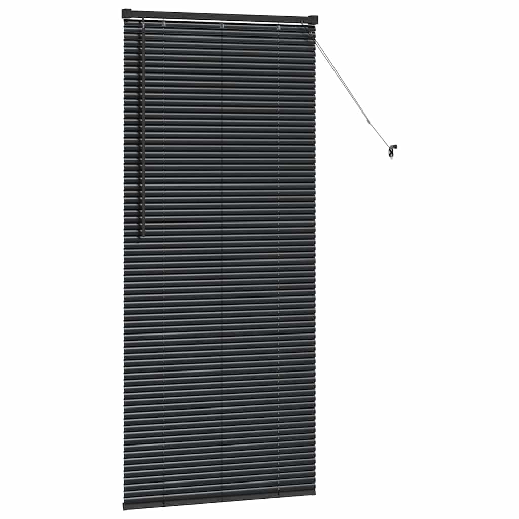 Venetiaanse jaloezieën Zwart 175 x 70 cm Aluminium