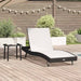 Ligstoel 2 st poly rattan Zwart en Wit