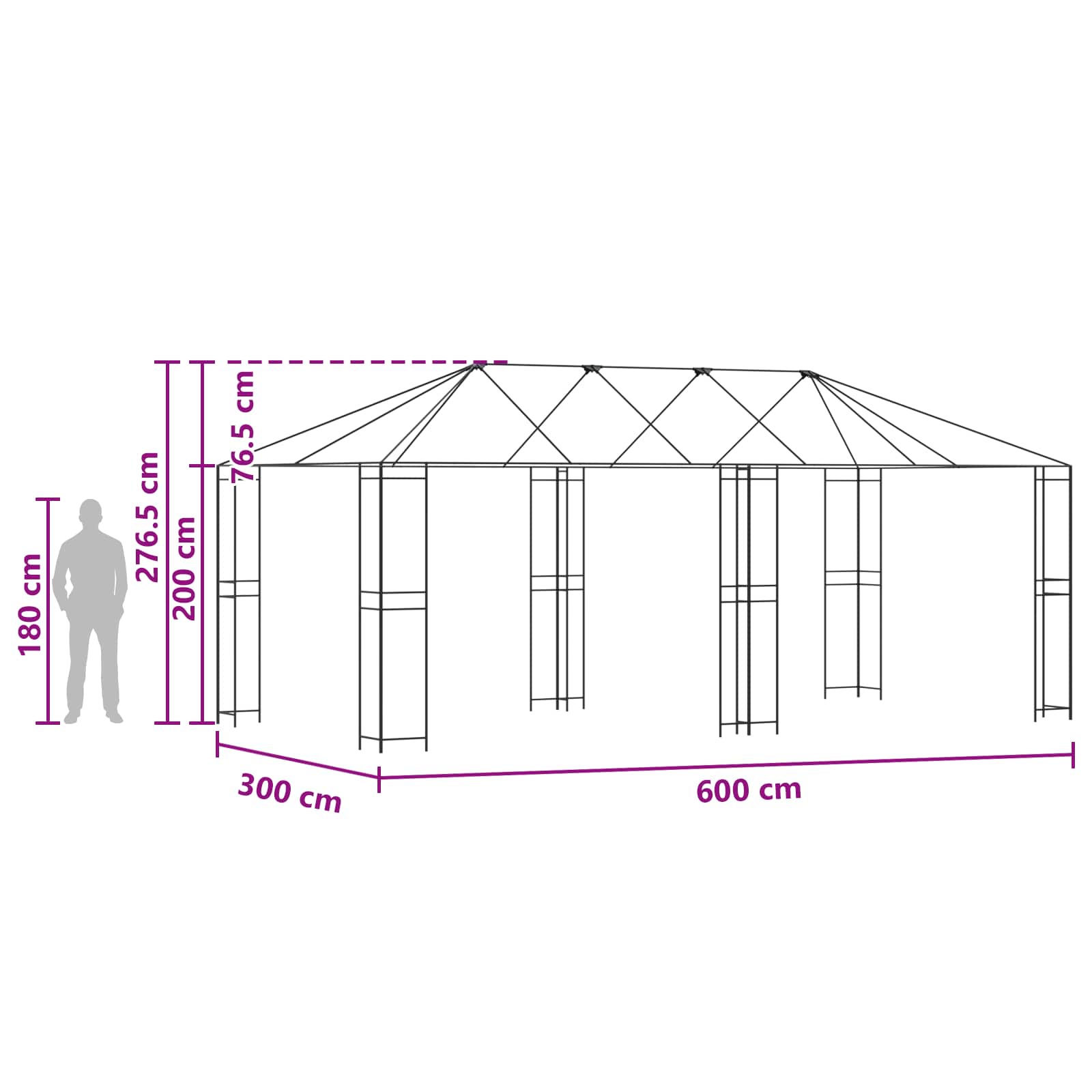 Tuinhuisframe zonder tentdoek 6 x 3 m Zwart Staal