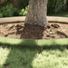 Grashek Gegalvaniseerde kleur 100 x 20 x 0.07 cm