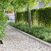 Gras Rand Zilver 1000 x 15 x 0.03 cm Gegalvaniseerd staal