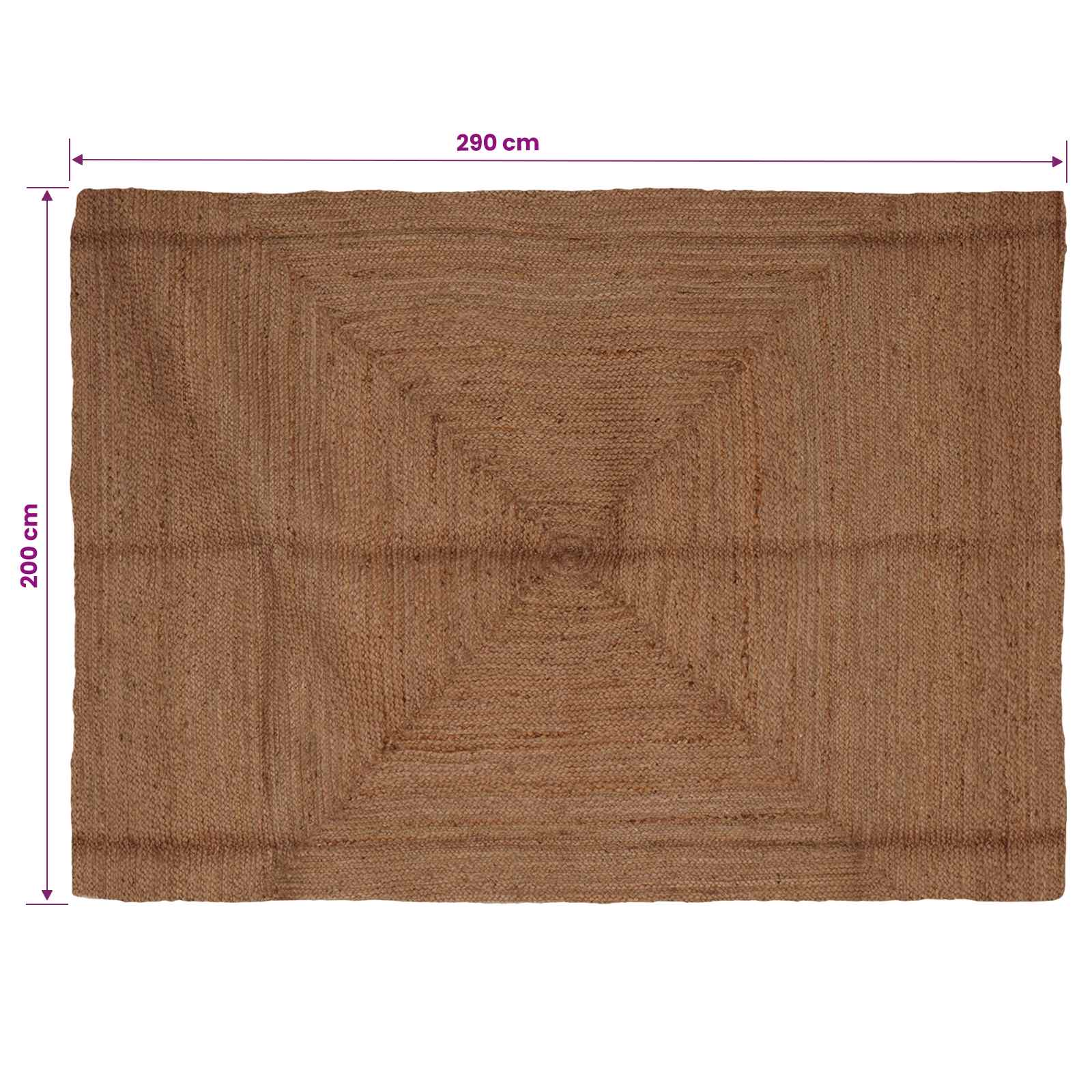 Gebied Tapijt Grijs 200 x 290 cm Jute