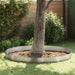 Tuinrand 450 x 25 cm Roestvrij staal Zilver