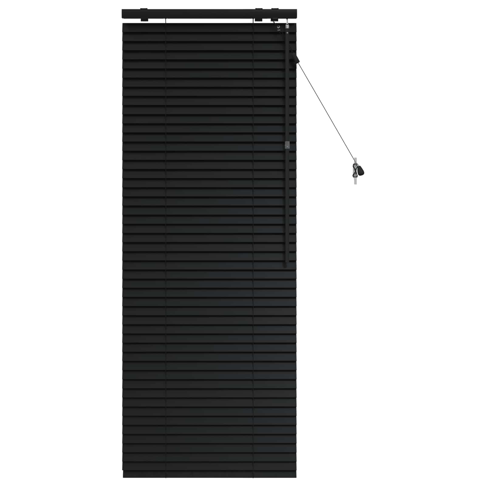 Venetiaanse jaloezie Zwart 65 x 160 cm 35 mm