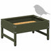 Vogeleter Olijf Groen 80 x 28 x 13.5 cm Koudgewalst Staal
