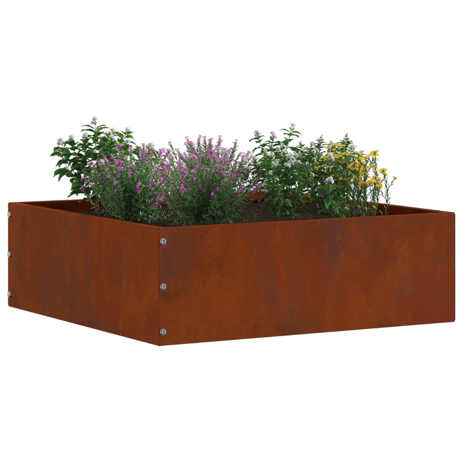 Tuinrand 6 st 40 x 40 x 13 cm Cortenstaal Roestig