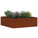Tuinrand 6 st 40 x 40 x 13 cm Cortenstaal Roestig