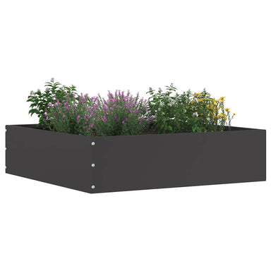 Tuinrand Zwart 50 x 50 x 13 cm Staal
