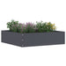 Tuinrand 6 st 50 x 50 x 13 cm Staal Antraciet