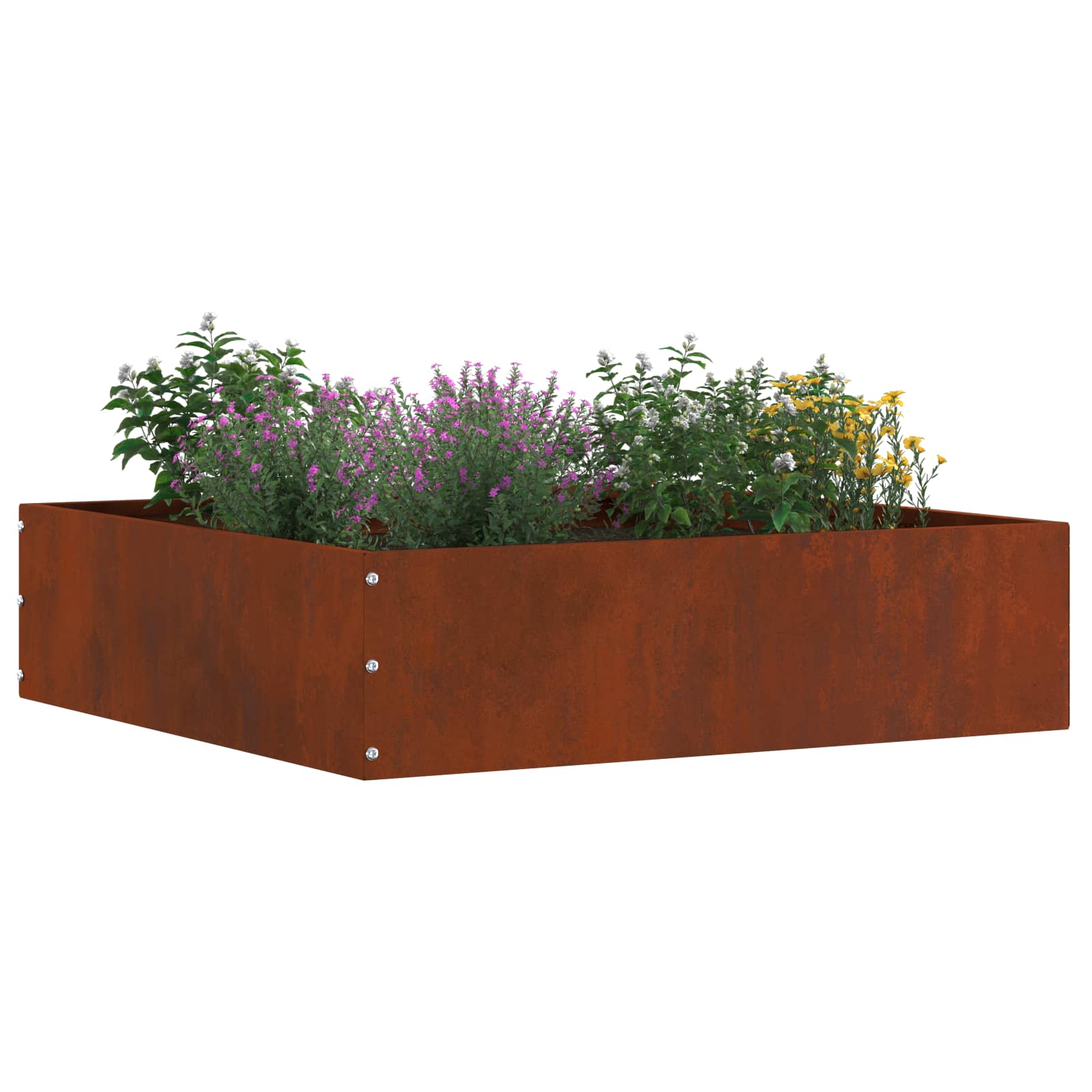 Tuinrand Roestig 50 x 50 x 13 cm Cortenstaal