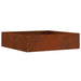 Tuinrand 6 st 50 x 50 x 13 cm Cortenstaal Roestig