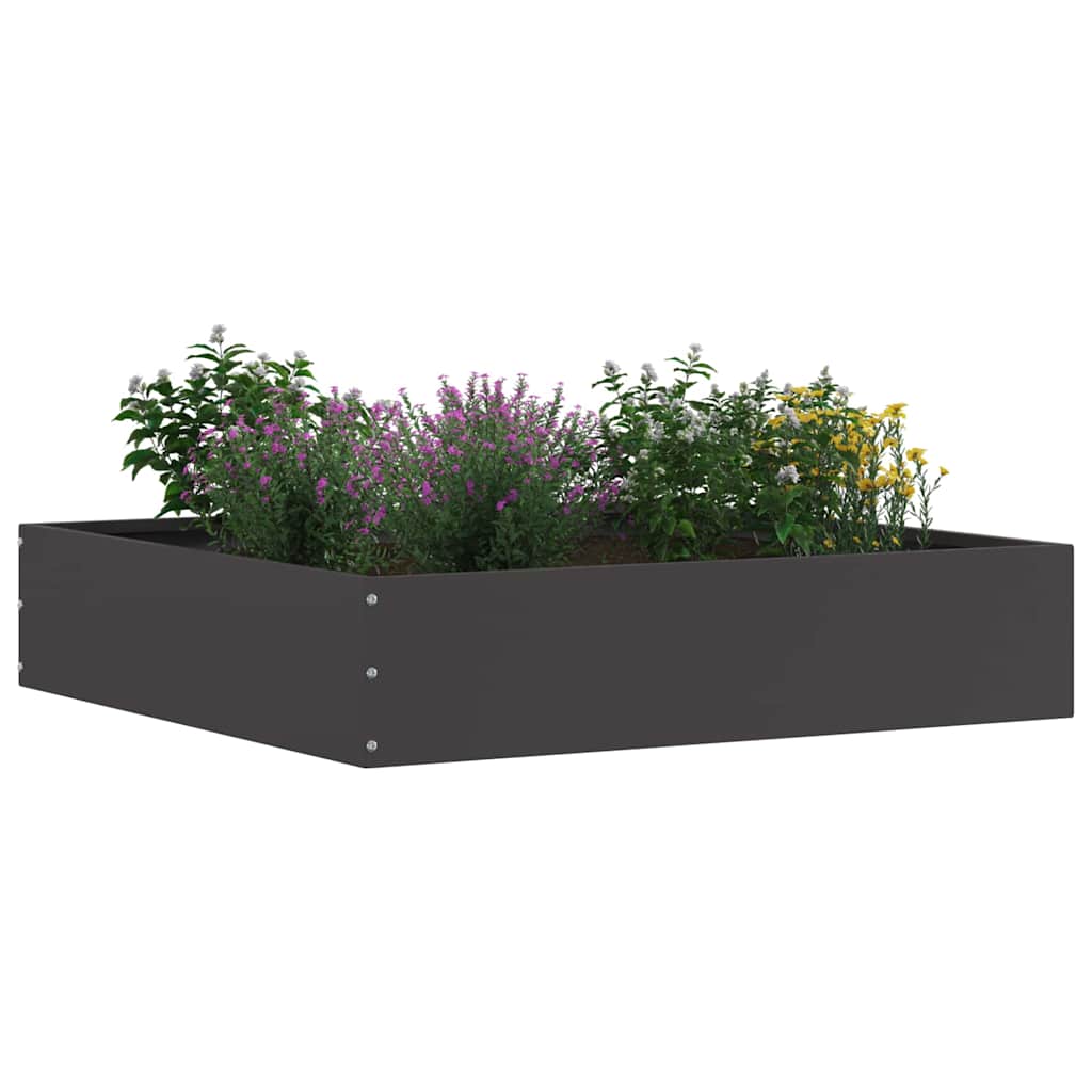 Tuinrand Zwart 60 x 60 x 13 cm Staal