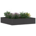 Tuinrand 6 st 60 x 60 x 13 cm Staal Zwart