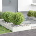 Tuinrand Wit 60 x 60 x 13 cm Staal