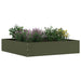 Tuinrand Olijf Groen 60 x 60 x 13 cm Staal