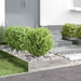 Tuinrand Zilver 60 x 60 x 13 cm Roestvrij staal
