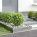 Tuinrand 6 st 60 x 60 x 13 cm Gegalvaniseerd staal Zilver