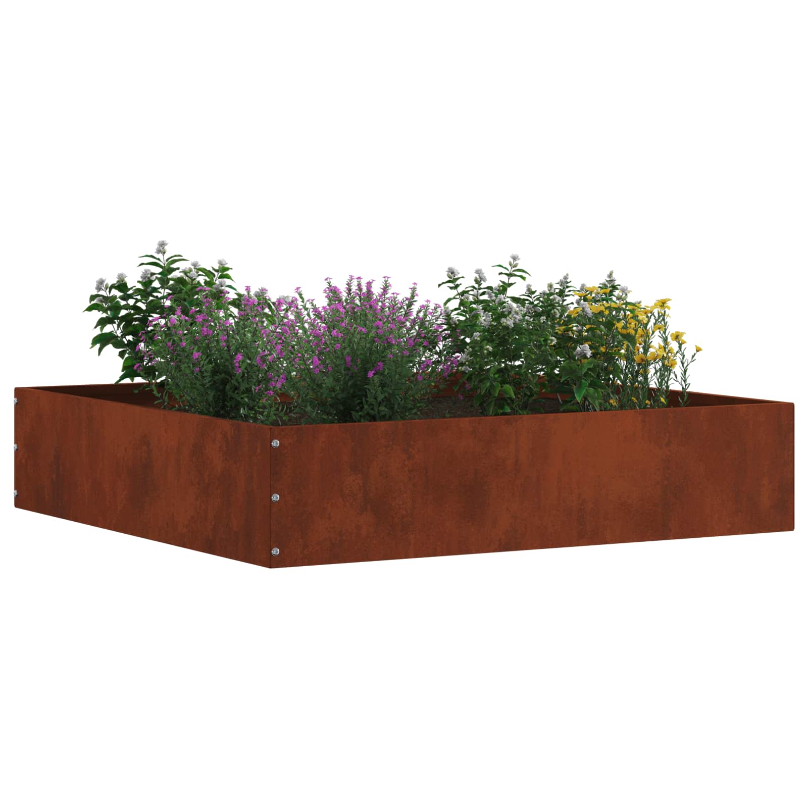 Tuinrand 6 st 60 x 60 x 13 cm Cortenstaal Roestig