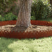Gazonranden 20 st 103 x 0,05 x 22 cm weervast staal Roestig