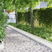 Gazonranden 30 st 103 x 0,05 x 22 cm Staal Wit