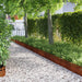 Gazonranden 20 st 103 x 0,05 x 22 cm weervast staal Roestig