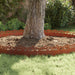 Gazonranden 20 st 103 x 0,05 x 22 cm weervast staal Roestig