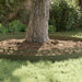 Gazonranden 20 st 103 x 0,05 x 22 cm Staal Olijf Groen