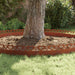 Gazonranden 10 st 103 x 0,05 x 22 cm weervast staal Roestig
