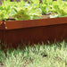 Slakkenhekje 4 st 100 x 3,5 x 25 cm weervast staal Roestig