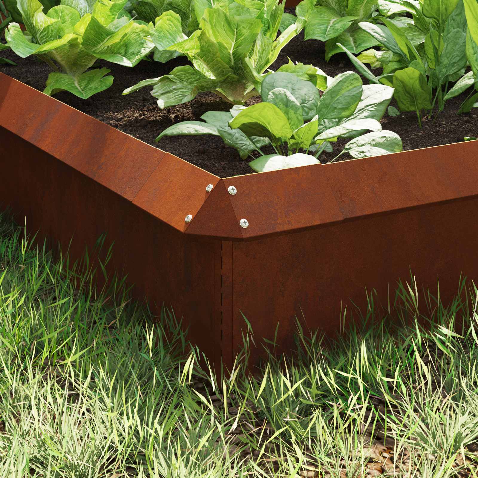 Slakkenhekken 8 st 100 x 3,5 x 25 cm weervast staal Roestig