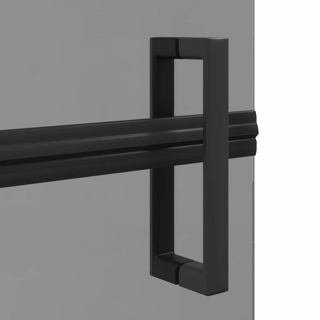 Inloopdouchewand Zwart 100 x 6,5 x 190 cm