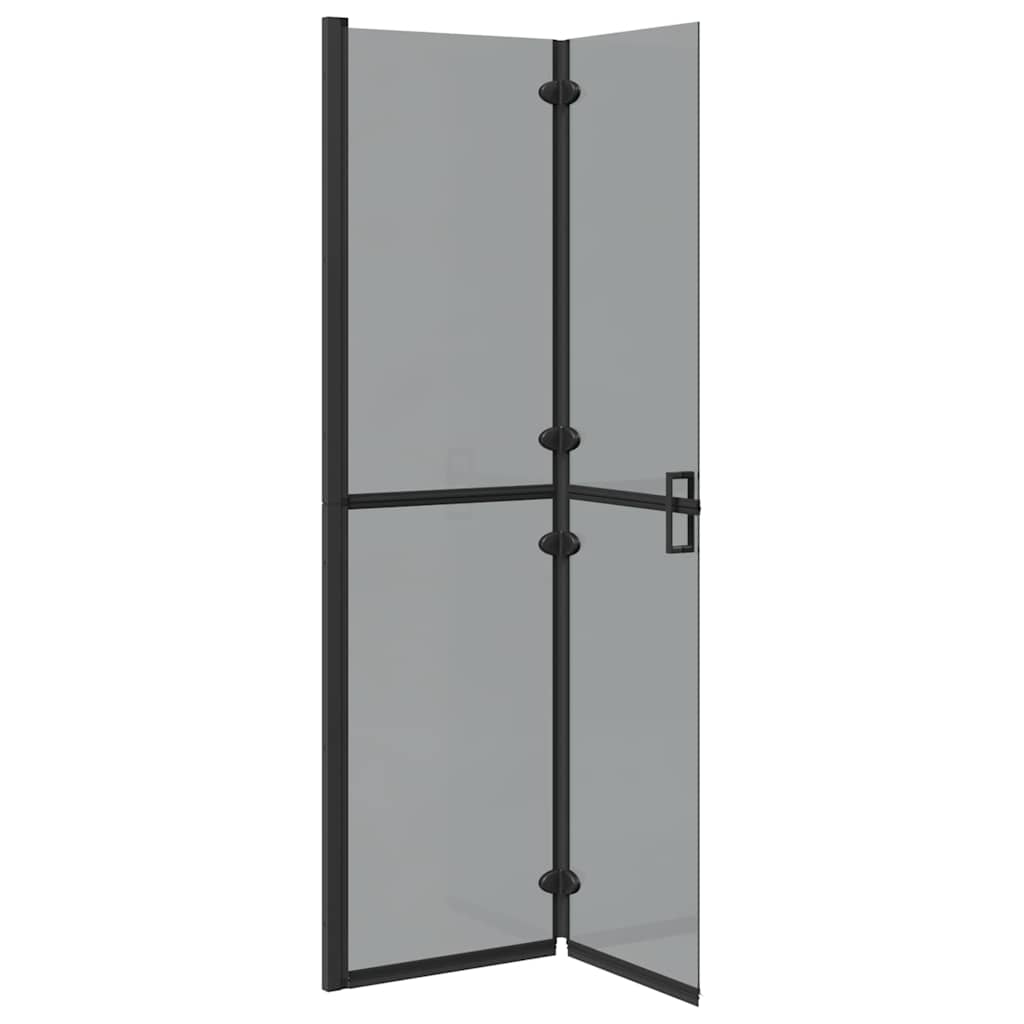 Inloopdouchewand Zwart 100 x 6,5 x 190 cm