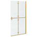 Inloopdouchewand Goud 100 x 6,5 x 190 cm