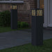 Solar LED Pad Licht 2 st Warmwit 18 x 18 x 80 cm