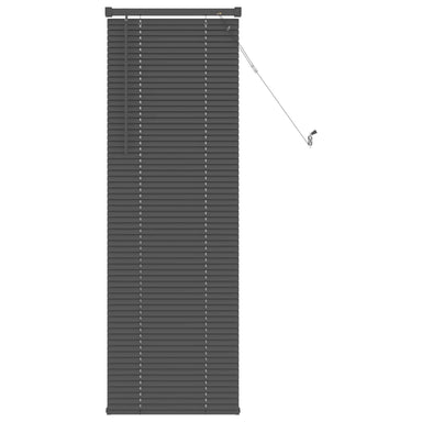 Venetiaanse jaloezie Zilvergrijs 150 x 50 cm 25 mm PVC