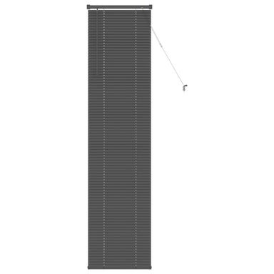 Venetiaanse jaloezie Zilvergrijs 213 x 50 cm 25 mm PVC