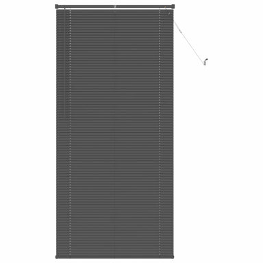 Venetiaanse jaloezie Zilvergrijs 213 x 70 cm 25 mm PVC