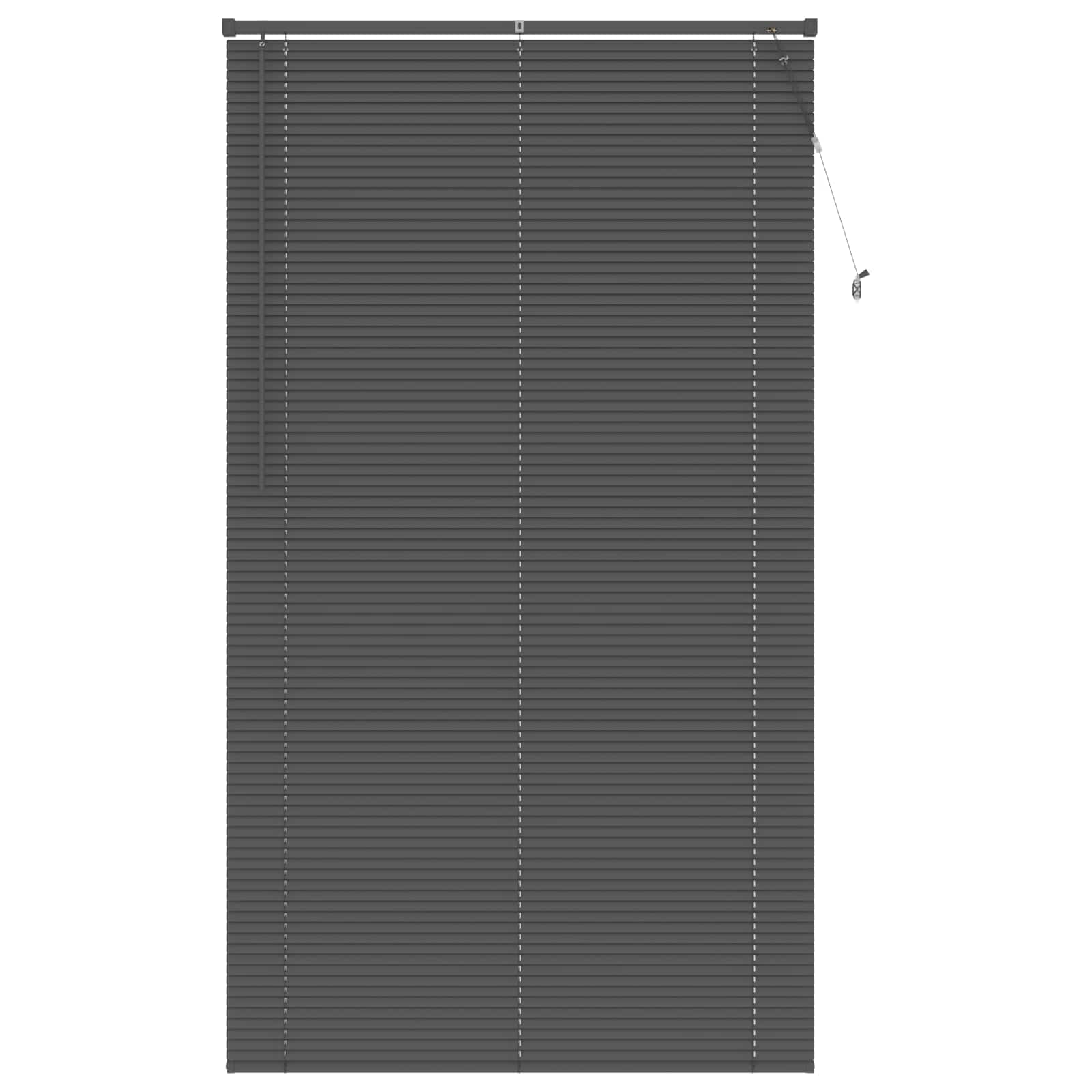 Venetiaanse jaloezie Zilvergrijs 213 x 120 cm 25 mm PVC