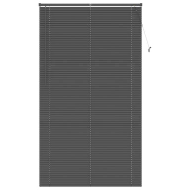 Venetiaanse jaloezie Zilvergrijs 213 x 120 cm 25 mm PVC