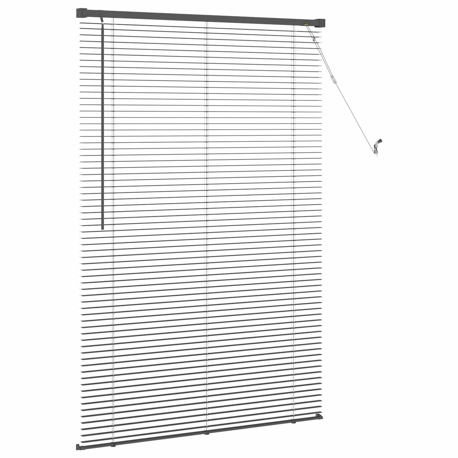 Venetiaanse jaloezie Zwart 150 x 90 cm 25 mm PVC