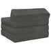 Vouwbare Bankbed Donkergrijs 200 x 70 x 10 cm Fluweel