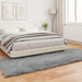 Tapijt van imitatie TAFALLA Grijs 80 x 250 cm Polyester